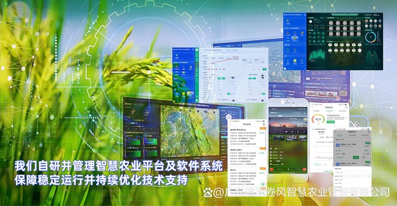 农场管理系统的革新之路：数字化时代的农业助力