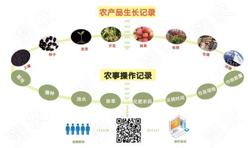 农产品质量溯源
